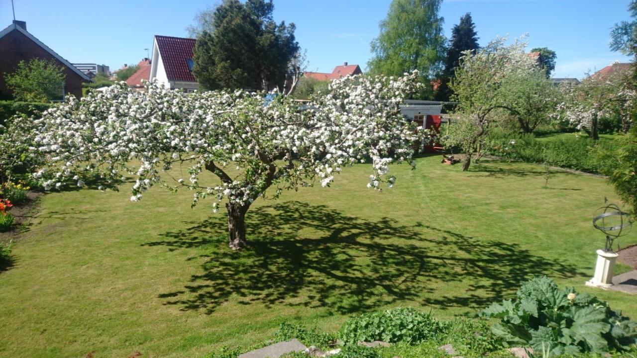 Bymarkens B&B Roskilde Zewnętrze zdjęcie